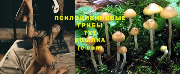 экстази Алзамай