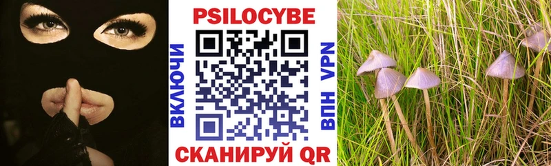 Псилоцибиновые грибы ЛСД  где купить наркотик  Олонец 